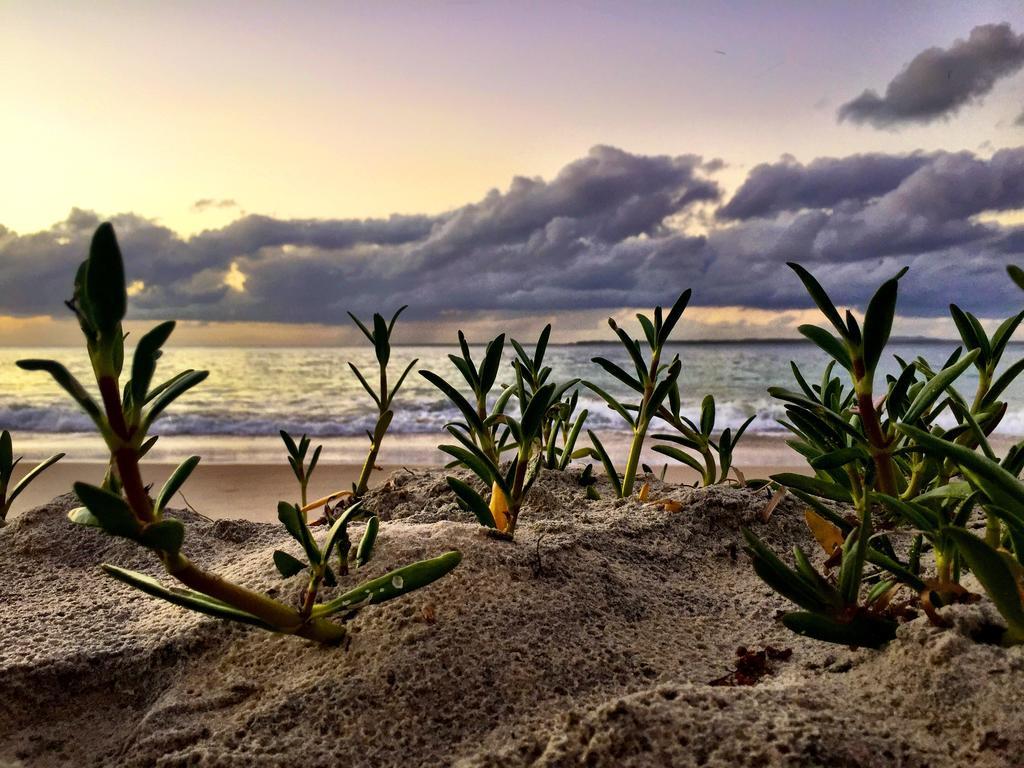 Stradbroke Island Beach Hotel Point Lookout Extérieur photo